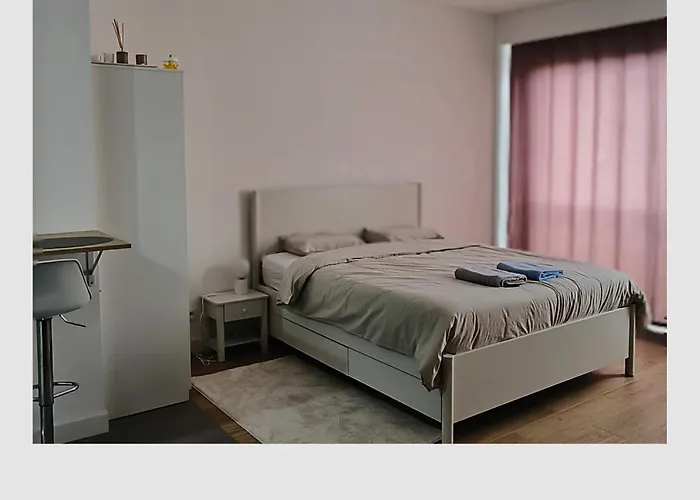 Charmante Studio 45M2